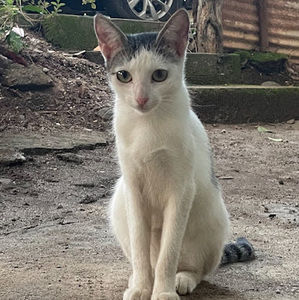 Meet your Posher, Ruby